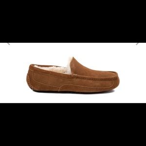 Men Ugg Slippers
